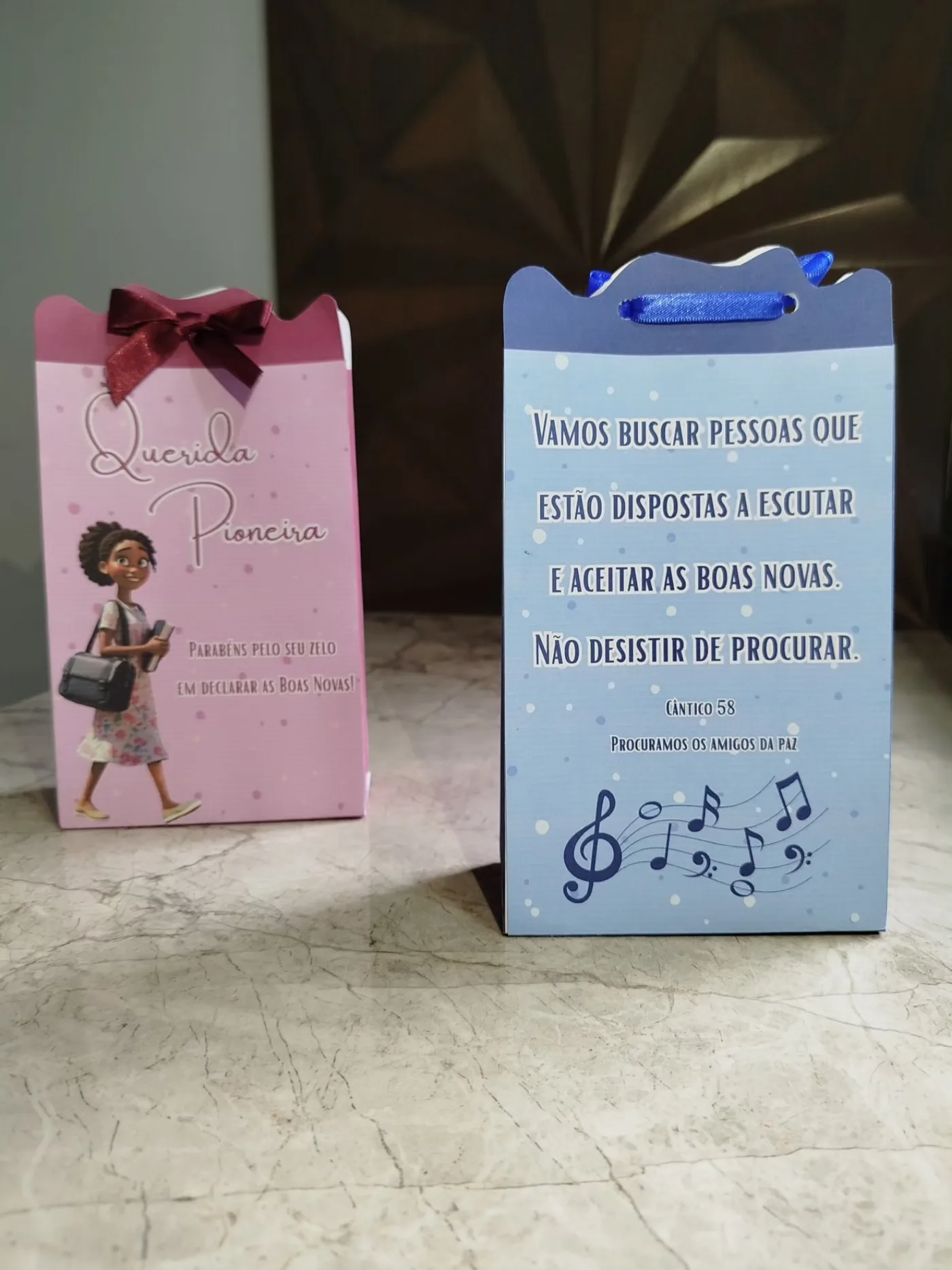 Sacola Presente Pioneiros