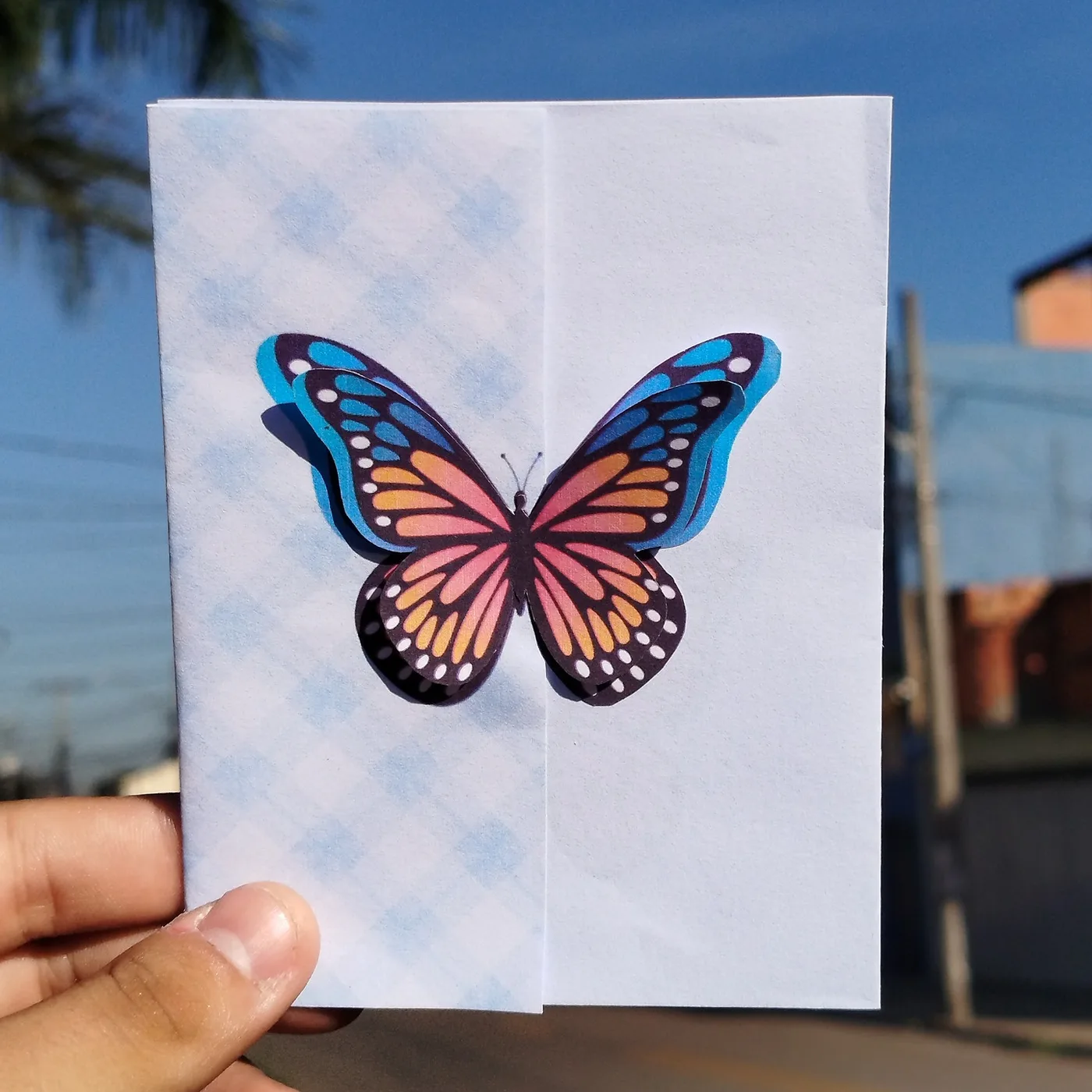Kit envelope borboleta