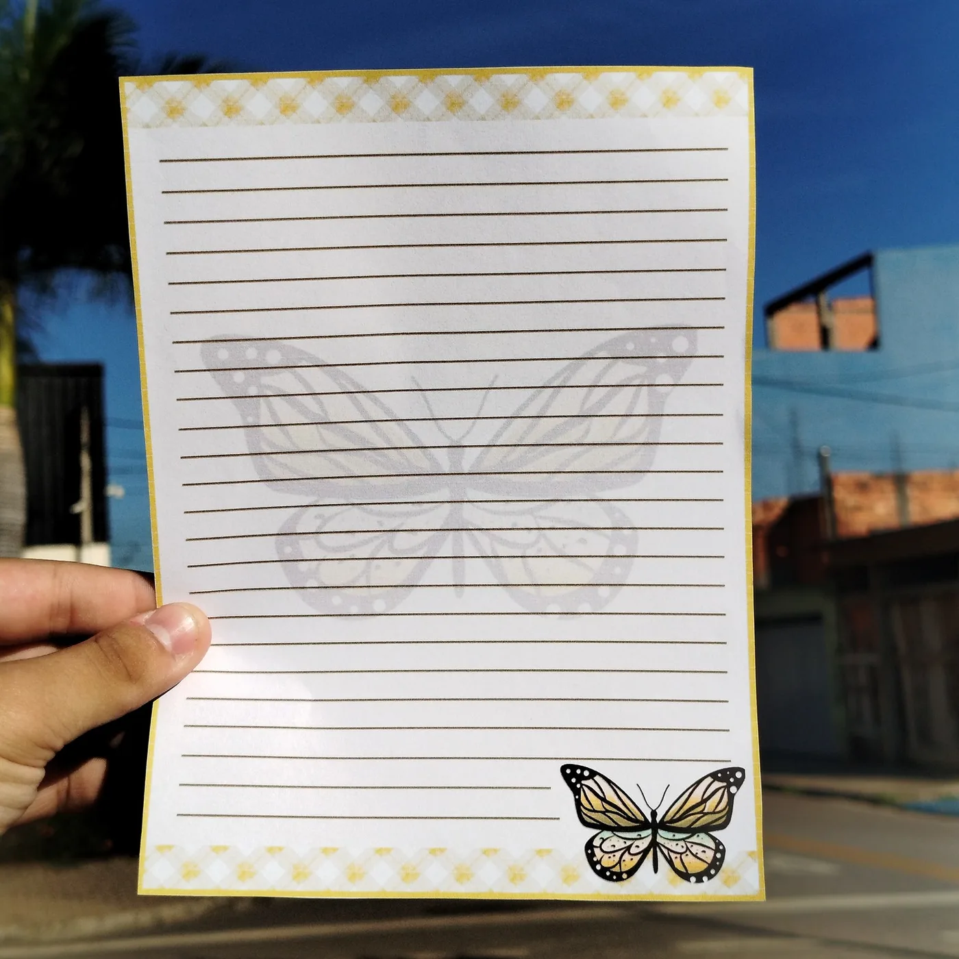 Kit envelope borboleta