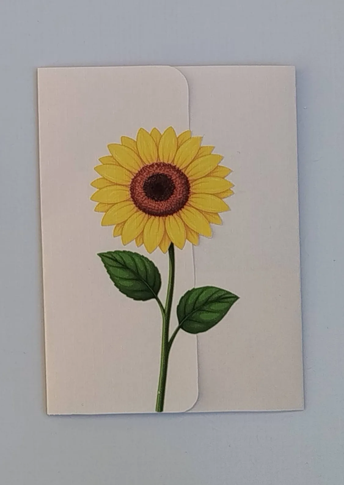Envelope + papel de carta - Girassol