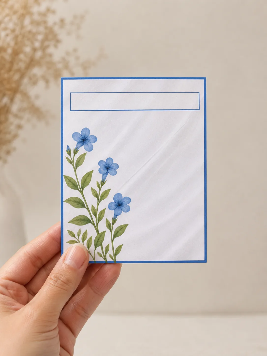 Envelope + Papel - Beija-flor